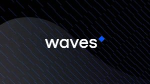 криптовалюта Waves USDN