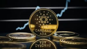 Cardano