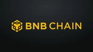 bnb chain