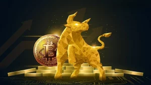 crypto bull