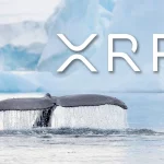 XRP whale