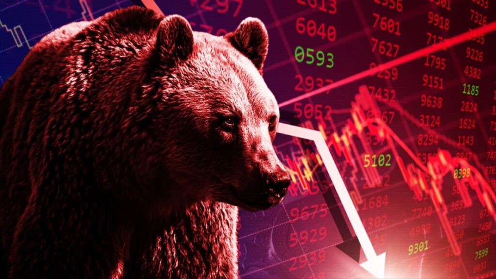 bear and graphic