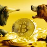 bitcoin bull bear