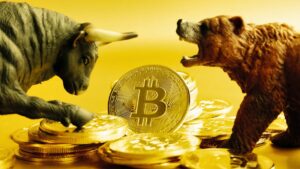 bitcoin bull bear