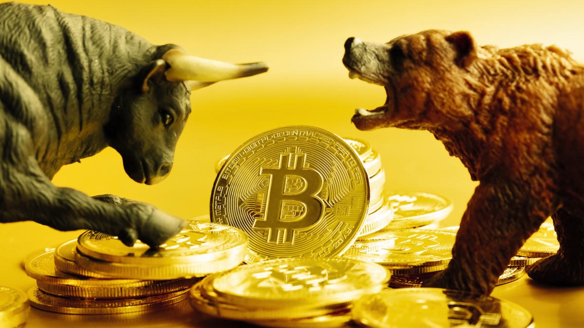 bitcoin bull bear