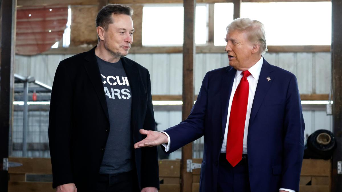 elon trump