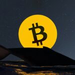 bitcoin whale