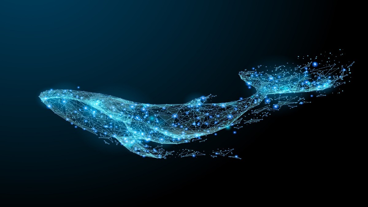 whale