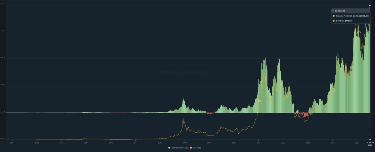 Изменение размера прибыли от инвестиций в биткоины