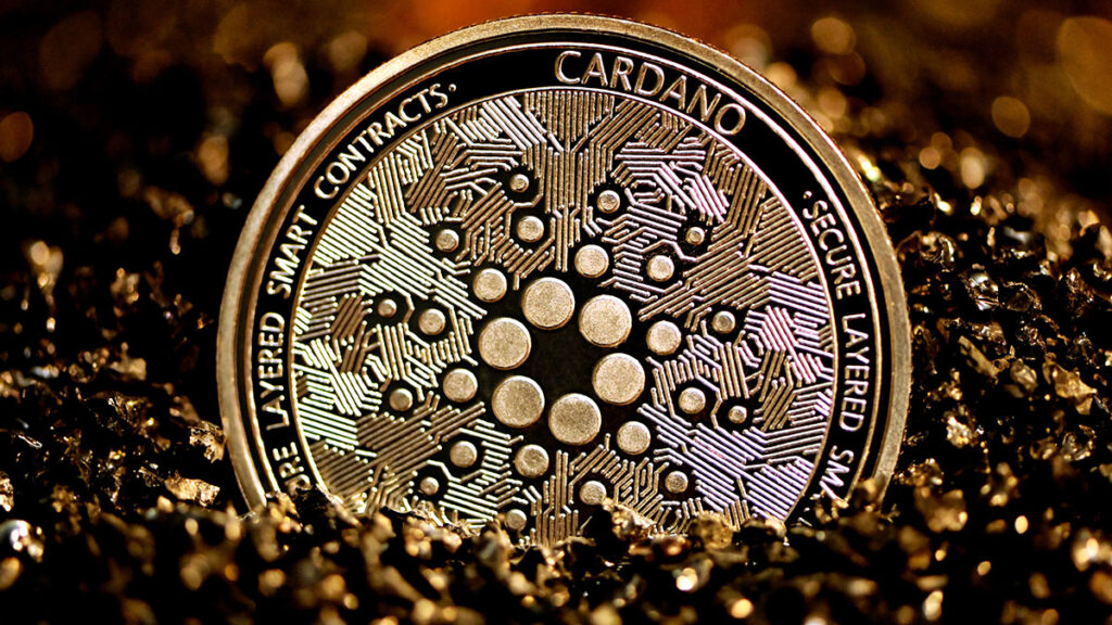cardano coin