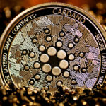 cardano coin