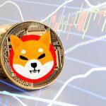 shiba inu coin