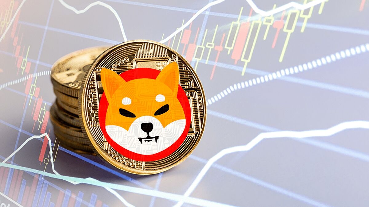 shiba inu coin