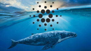 cardano whale