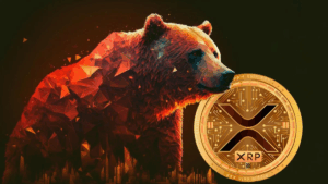XRP bear