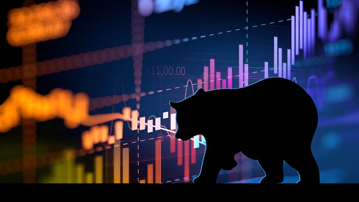 crypto bear