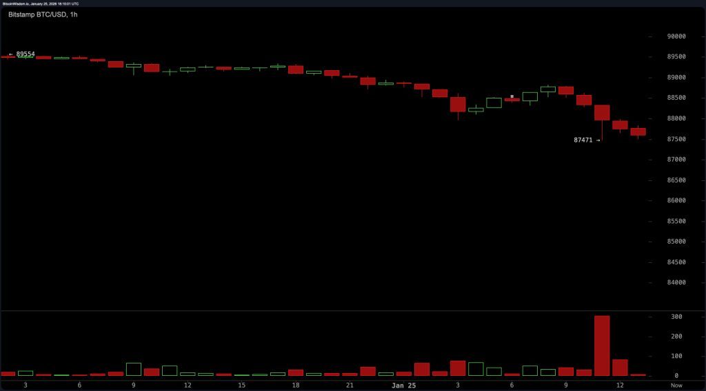 Часовой график BTC/USD на Bitstamp 25 января 2026 г.