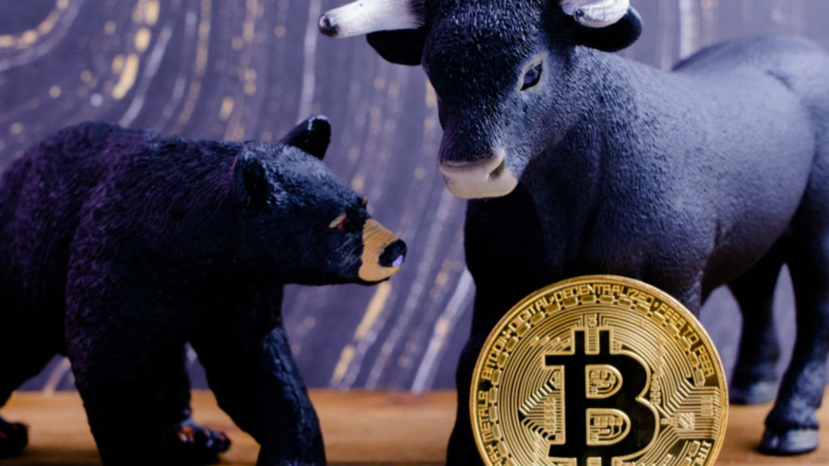 bitcoin bull bear
