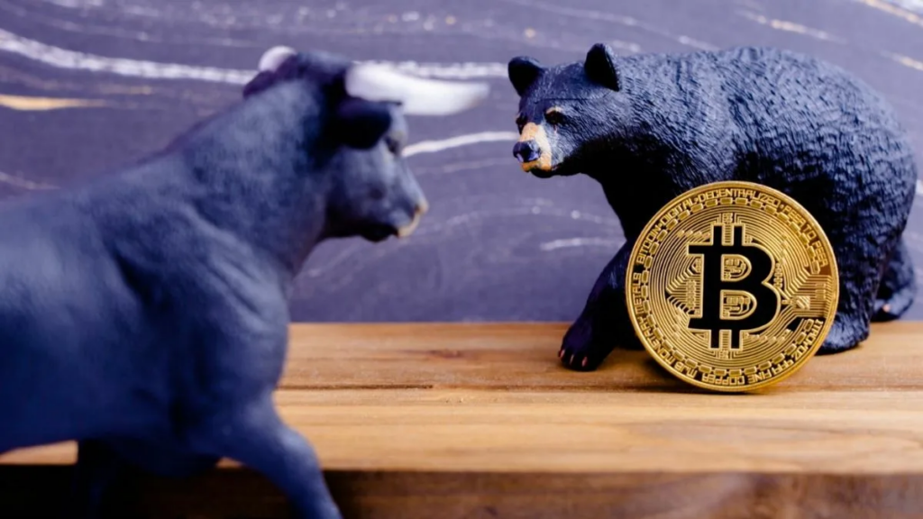 bitcoin bull bear