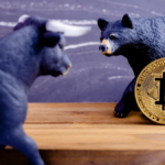 bitcoin bull bear