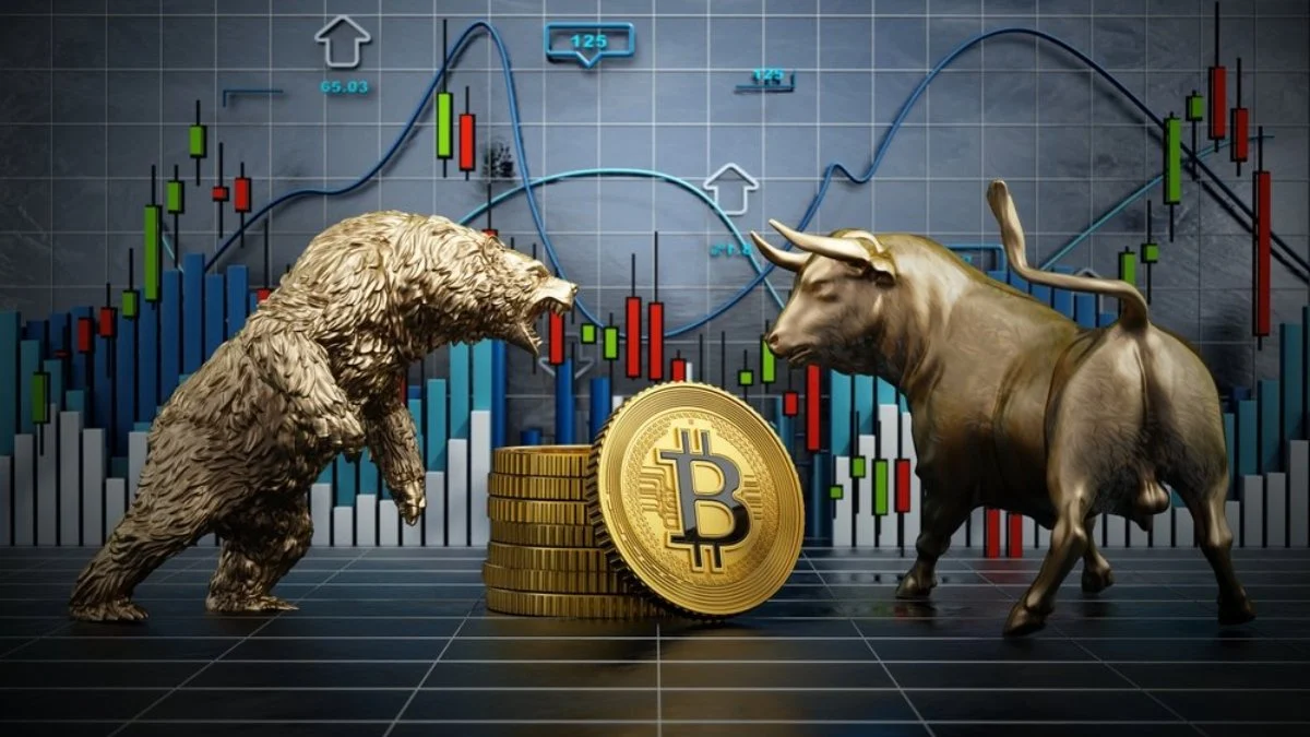 bitcoin bull bear