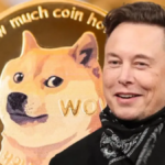 dogecoin elon musk