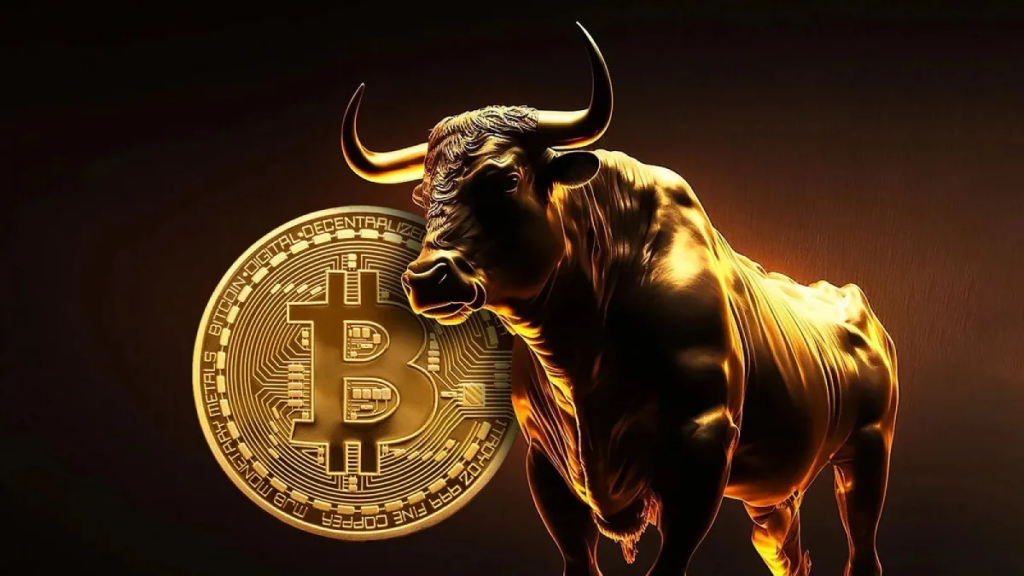 bitcoin bull