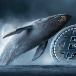 bitcoin whale