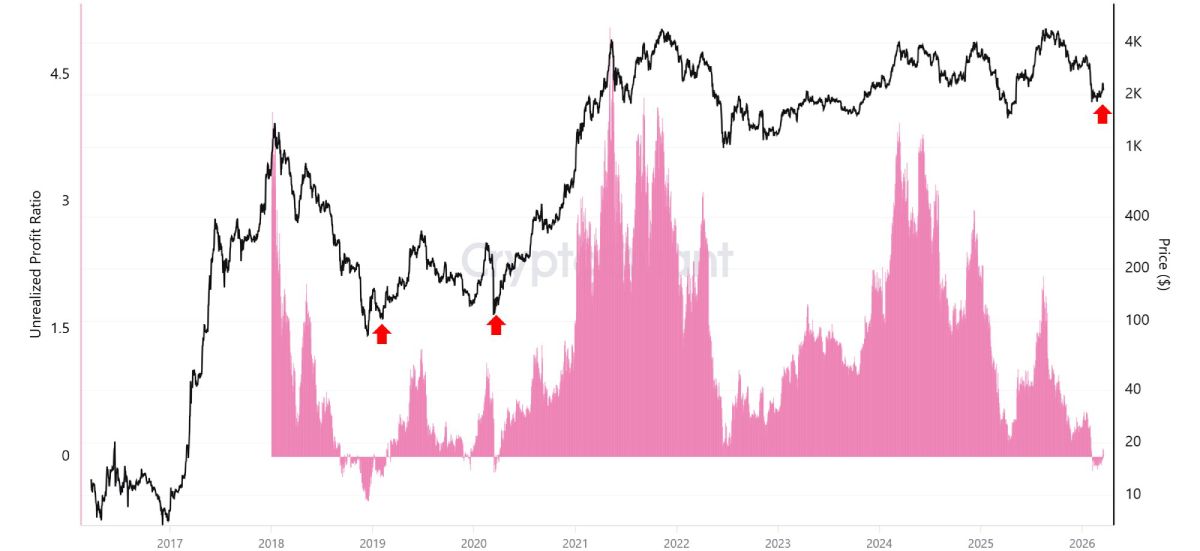 Коэффициент прибыли и убытков китов (розовая диаграмма)