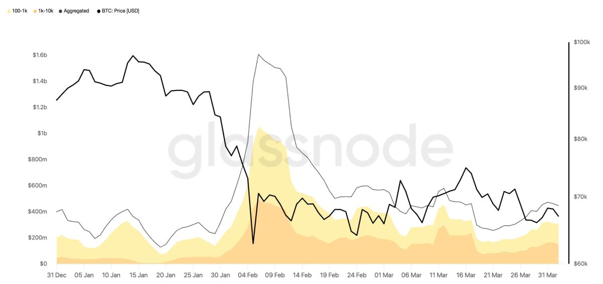 Сумма убытка, реализованного акулами и китами