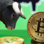 bitcoin bull