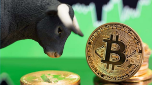 bitcoin bull