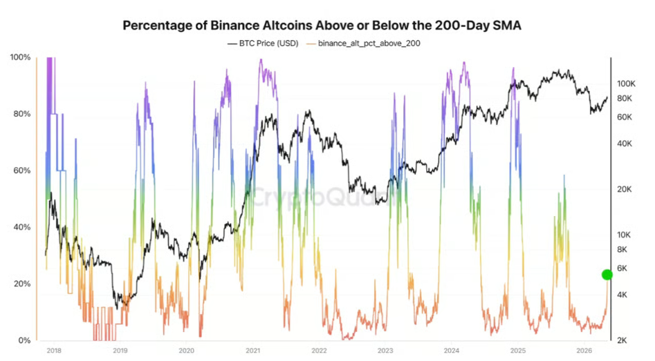 percentage of binance altcoins