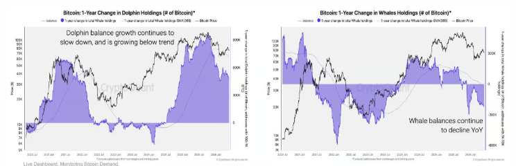 btc copilka