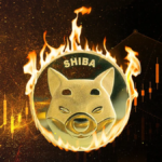 shiba inu burn