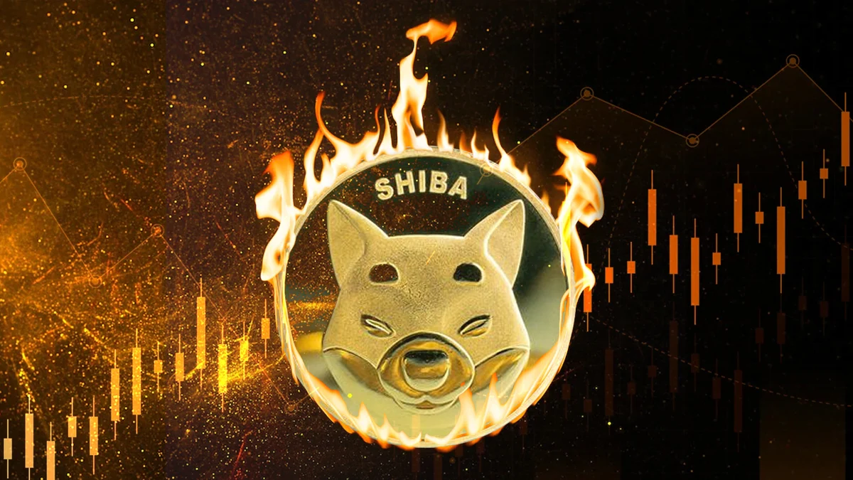 shiba inu burn