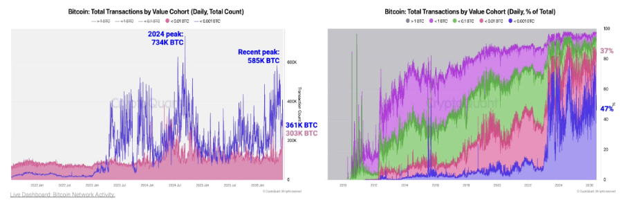 Источник: CryptoQuant
