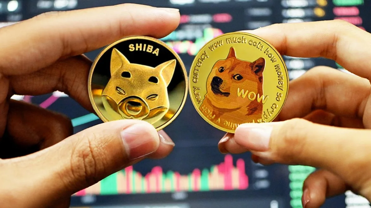 SHIB and DOGE